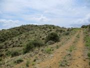 Cramm Mountain, Arizona