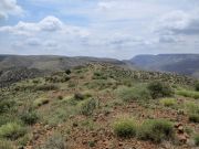 Cramm Mountain, Arizona