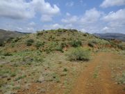 Cramm Mountain, Arizona