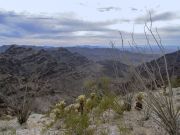 Cunningham Mountain, Arizona