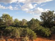 Doe Mountain, Arizona