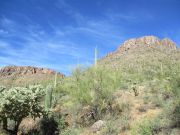 Dinosaur Mountain, Arizona