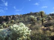 Dinosaur Mountain, Arizona