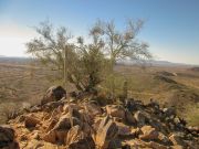 East Wing Mountain, Arizona