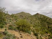 Lone Mountain EJ Peak, Arizona