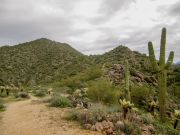 Lone Mountain EJ Peak, Arizona