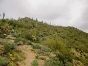 Lone Mountain EJ Peak, Arizona