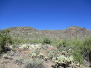 Elephant Mountain, Arizona