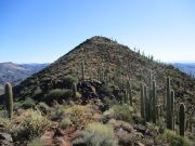 Elephant Mountain, Arizona