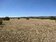 Flat Top Springerville Eagar, Arizona