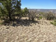 Flat Top Springerville Eagar, Arizona