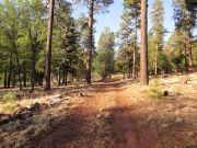 Fortynine Spitz Beacon Hills, Arizona