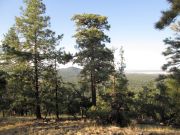 Fortynine Spitz Beacon Hills, Arizona