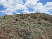 Francis Crater, Arizona