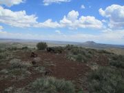 Francis Crater, Arizona