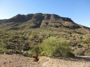 Golden Gate Mountain, Arizona