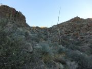 Golden Gate Mountain, Arizona