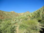 Governors Mountain, Arizona