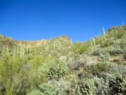 Governors Mountain, Arizona