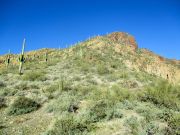 Governors Mountain, Arizona