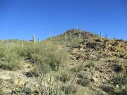 Governors Mountain, Arizona