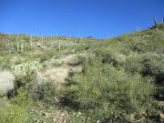 Governors Mountain, Arizona