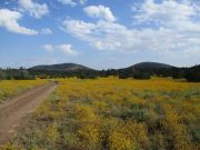 Hobble Mountains, Arizona