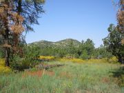 Hobble Mountains, Arizona