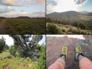 Hobble Mountains, Arizona