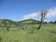 Hobble Mountains, Arizona