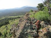 Hobble Mountains, Arizona