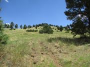 Hochderffer Hills, Arizona