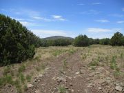 Horse Knoll, Arizona