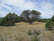 Horse Knoll, Arizona