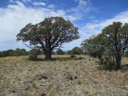 Horse Knoll, Arizona