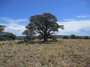 Horse Knoll, Arizona