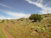 House Mountain, Arizona