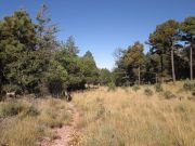 Huachuca Peak, Arizona