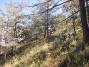 Huachuca Peak, Arizona