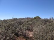 Huachuca Peak, Arizona