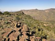 Iron Dike Kitty Joe, Arizona