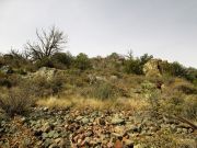 Jackson Butte, Arizona