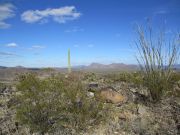 John the Baptist Mountains, Arizona