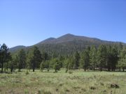 Kendrick Peak, Arizona