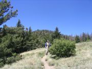 Kendrick Peak, Arizona