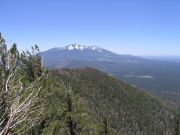 Kendrick Peak, Arizona