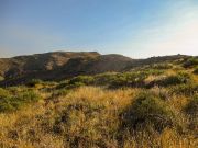 Kentuck Mountain, Arizona