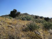 Kentuck Mountain, Arizona