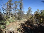 King Ridge, Arizona