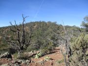 King Ridge, Arizona